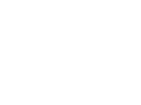 ONIX LOGO BLANCO